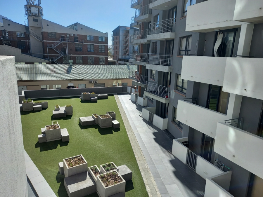 To Let 0 Bedroom Property for Rent in Observatory Western Cape